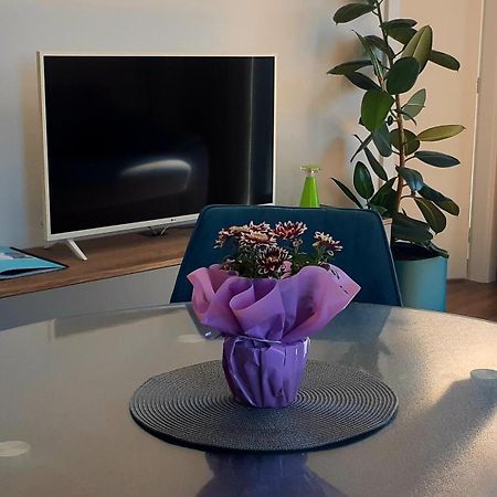 Apartman Besen 307 Бешенёва Экстерьер фото